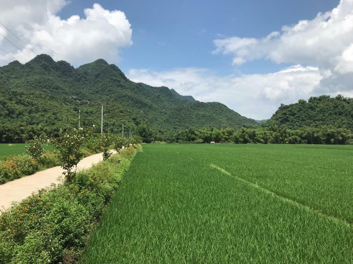 Jomo House Mai Chau Hotell Hòa Bình Eksteriør bilde