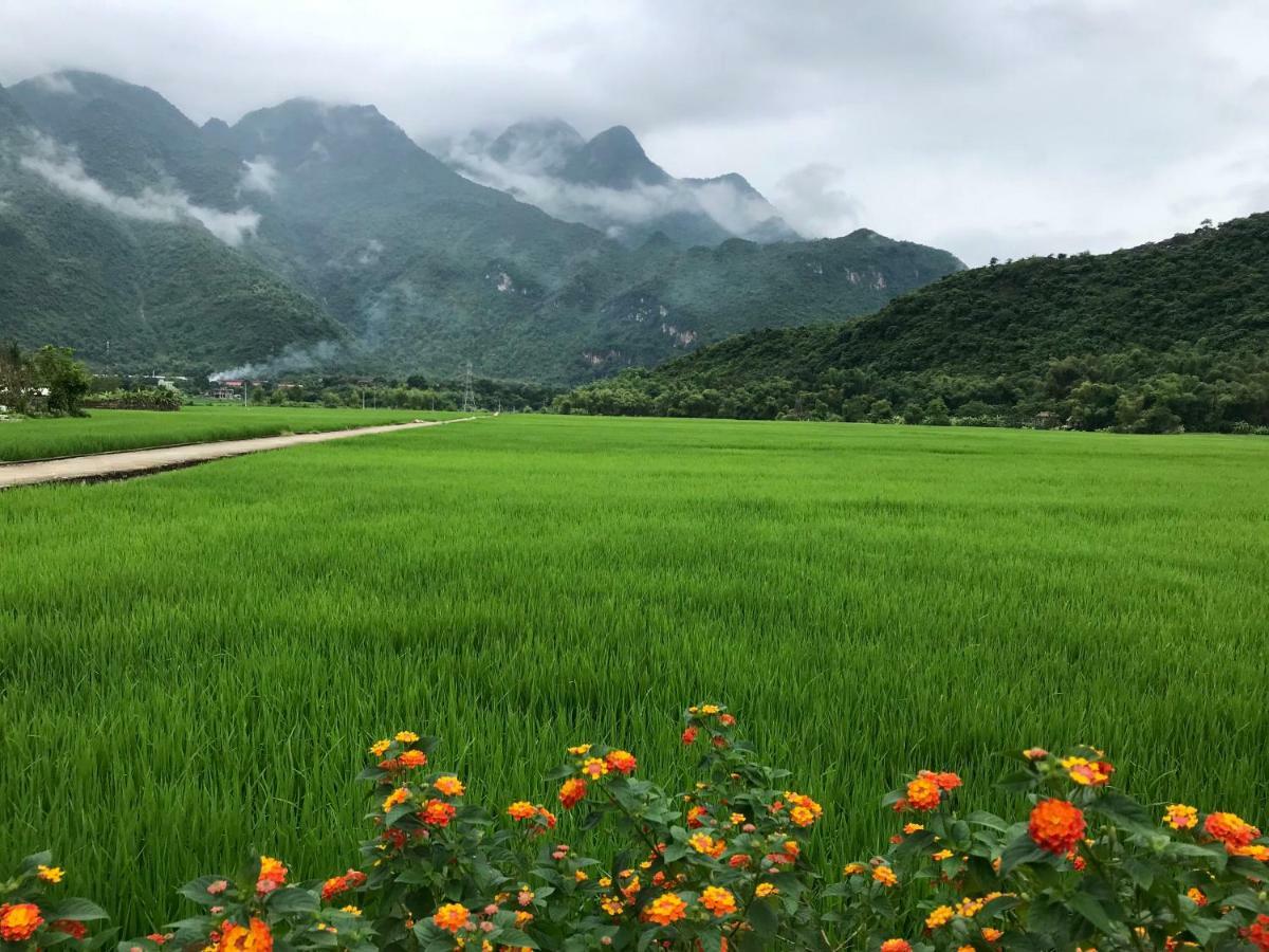 Jomo House Mai Chau Hotell Hòa Bình Eksteriør bilde