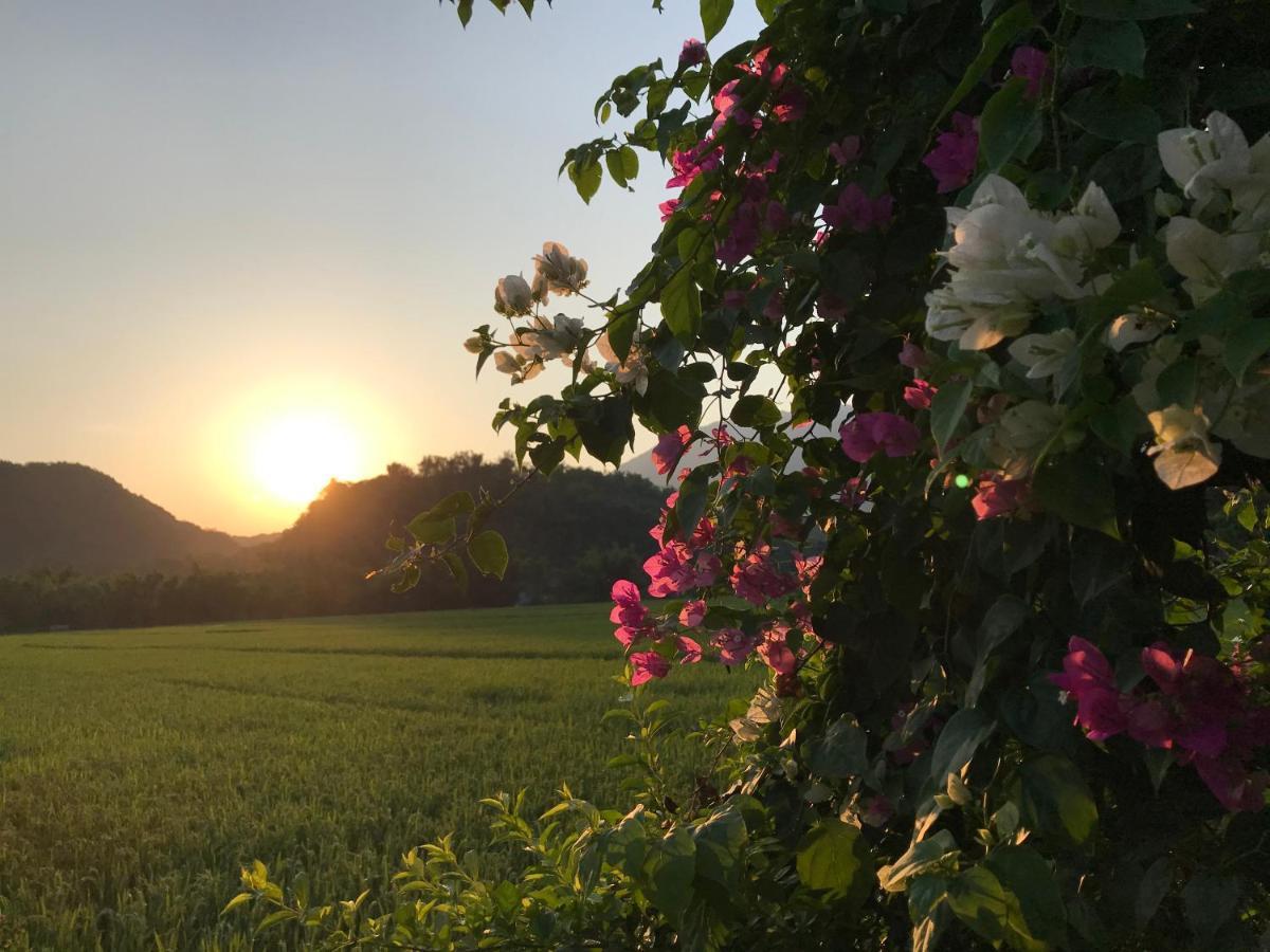 Jomo House Mai Chau Hotell Hòa Bình Eksteriør bilde