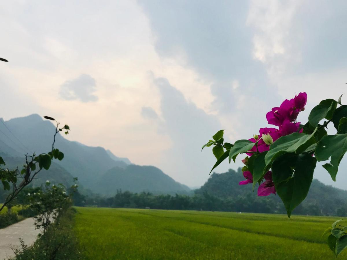 Jomo House Mai Chau Hotell Hòa Bình Eksteriør bilde