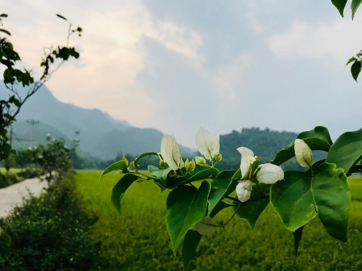 Jomo House Mai Chau Hotell Hòa Bình Eksteriør bilde